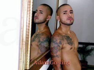 AdamGosling