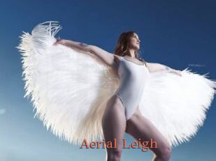 Aerial_Leigh