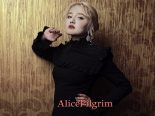 AlicePilgrim Anal Favorite