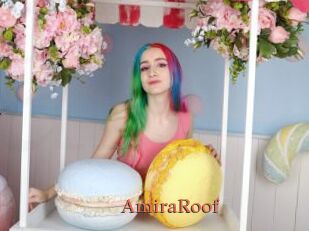 AmiraRoof