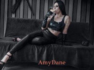 AmyDane Anal Favorite