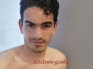 Andrewgosht