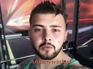 Andrewwinked