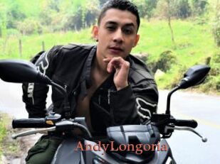 AndyLongoria
