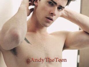 AndyTheTeen