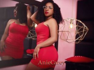 AnieCarey