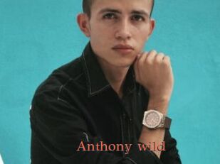 Anthony_wild