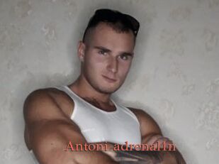 Antoni_adrenal1n