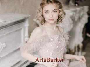 AriaBarket