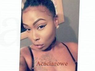 Acacia_rowe