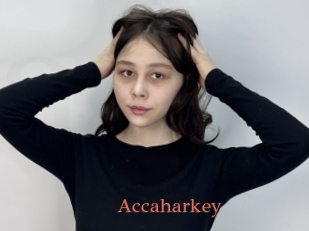 Accaharkey