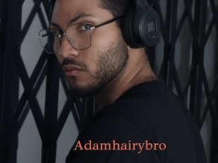Adamhairybro