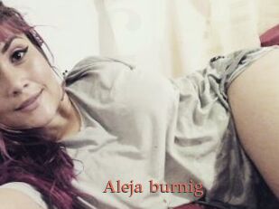 Aleja_burnig