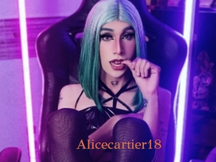 alicecartier18 Anal Favorite