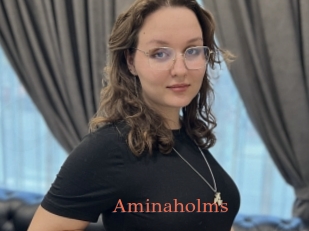 Aminaholms