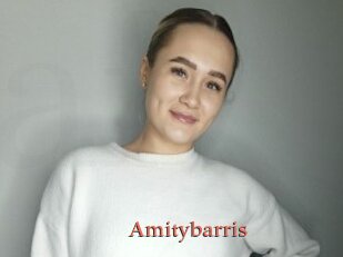 Amitybarris