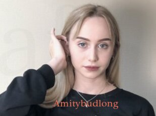 Amitybudlong