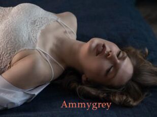 Ammygrey