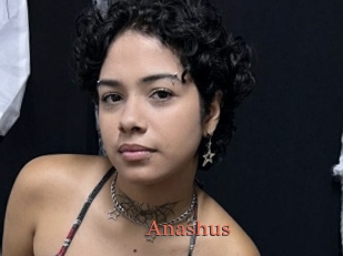 Anashus