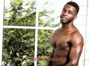 Andresbaudin