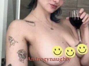 Androgynaughty