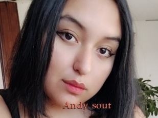 Andy_sout