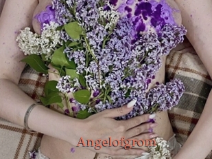 Angelofgrom