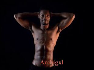 Anibigxl