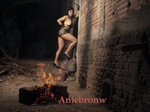 Aniebronw