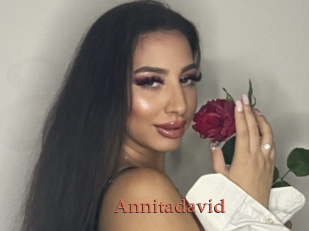 Annitadavid