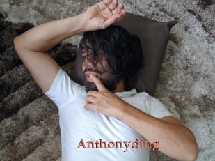 Anthonyding