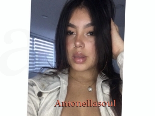Antonellasoul