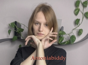 Antoniabiddy