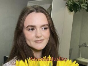 Antoniadudley
