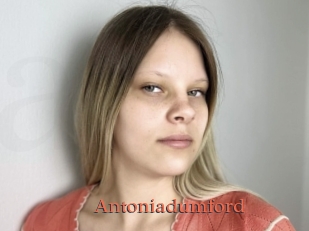 Antoniadumford