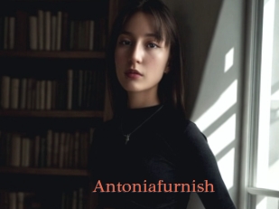 Antoniafurnish