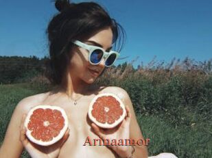 Arinaamor