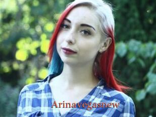 Arinavegasnew