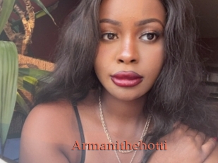 Armanithehotti