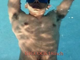 BIGCOCK18inch