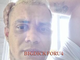 BIGDICKFORU4