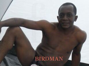 BIRDMAN Anal Favorite