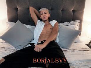 BORJALEVY