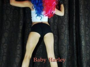 Baby_Harley