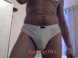 BarepigOWL