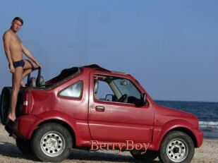 BerryBoy