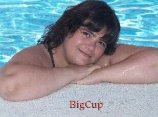 BigCup