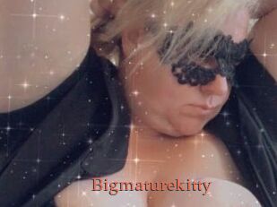Bigmaturekitty