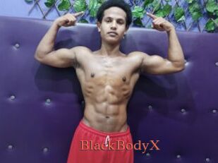 BlackBodyX