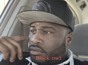 Black_owl